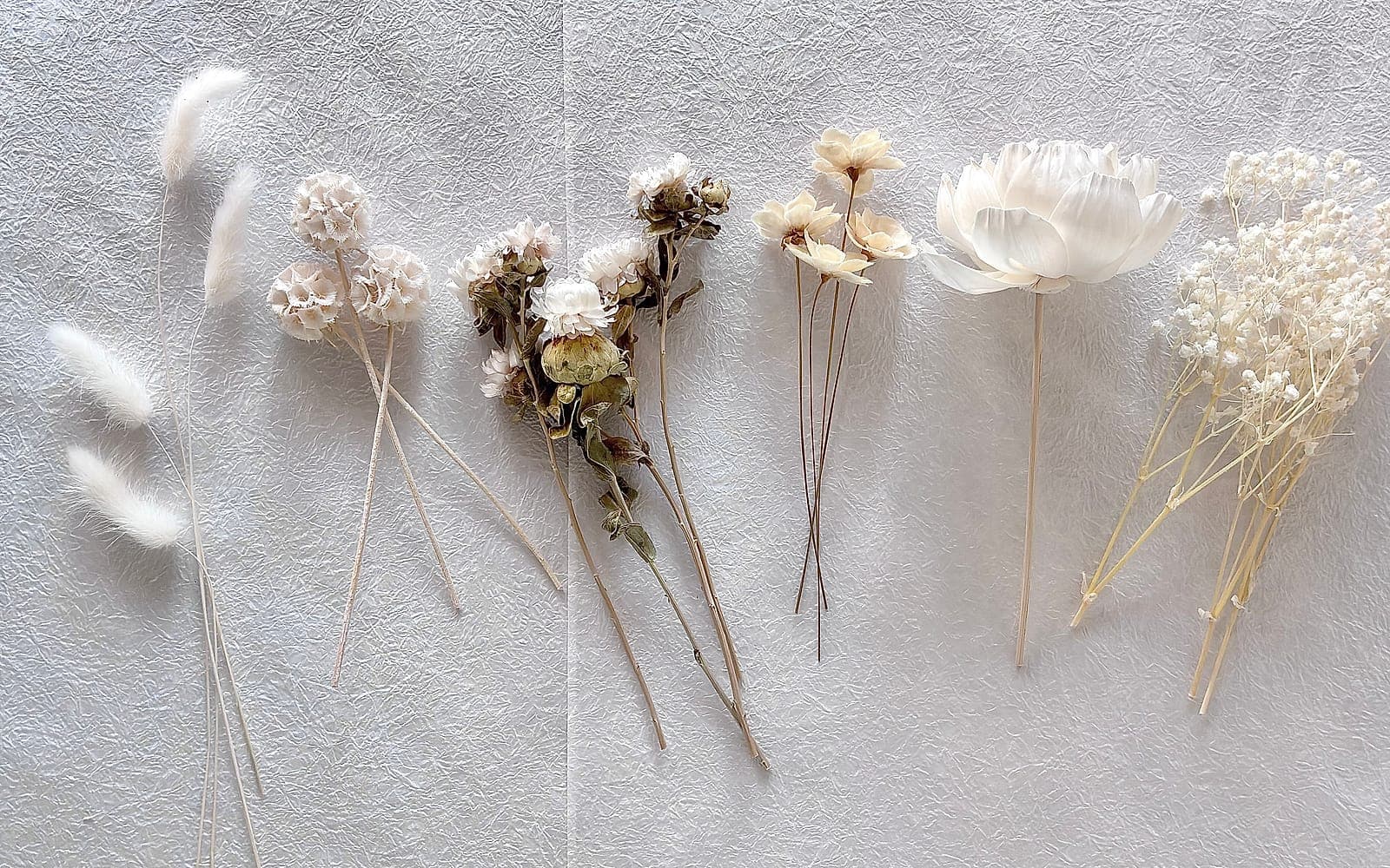 Preserved stems from a kit laid out in a row: bunny tails, scabiosa pods, strawflowers, a peony and baby's breath