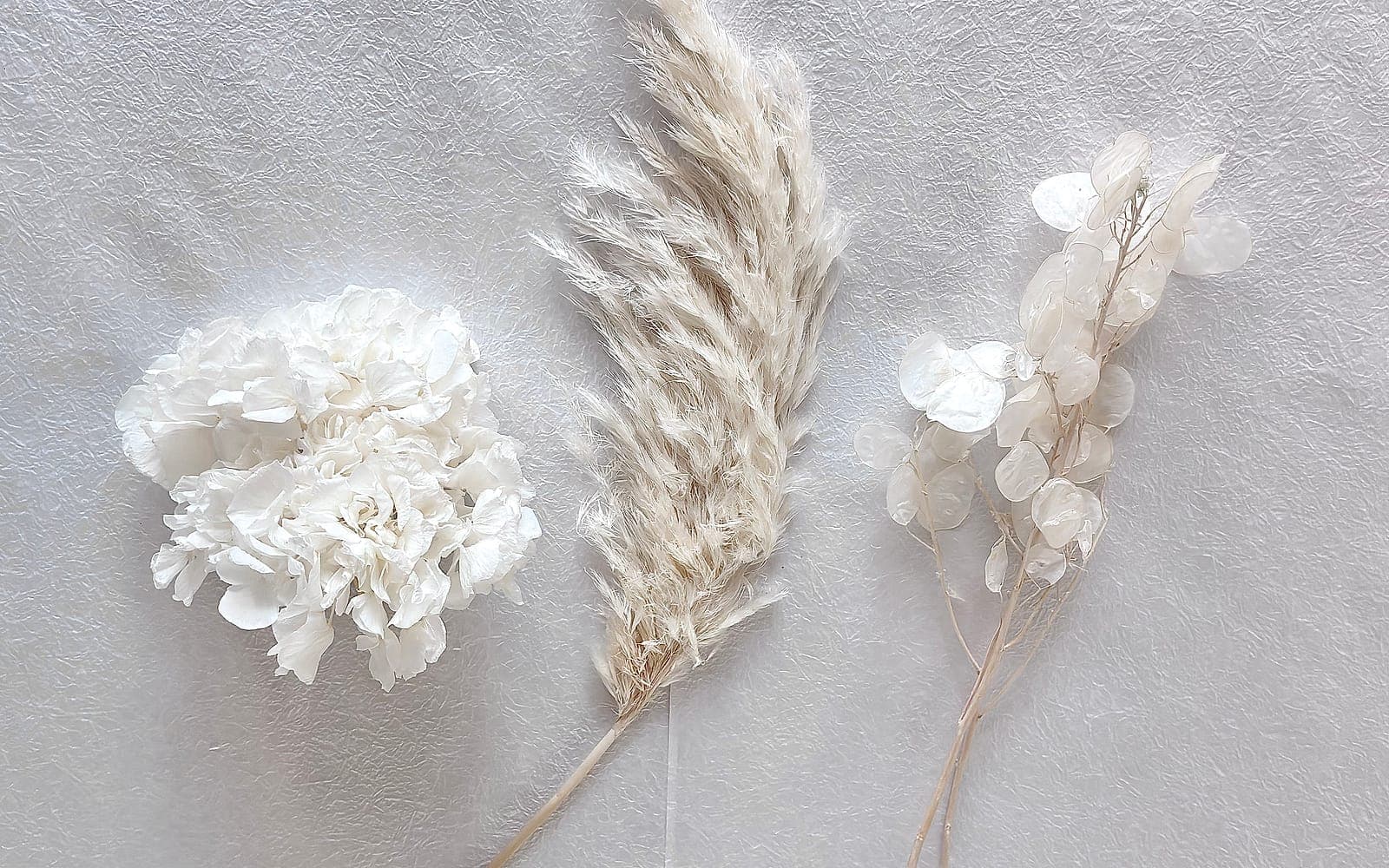 Preserved hydrangea, pampas and lunaria from a Studio Terra kit, laid side by side