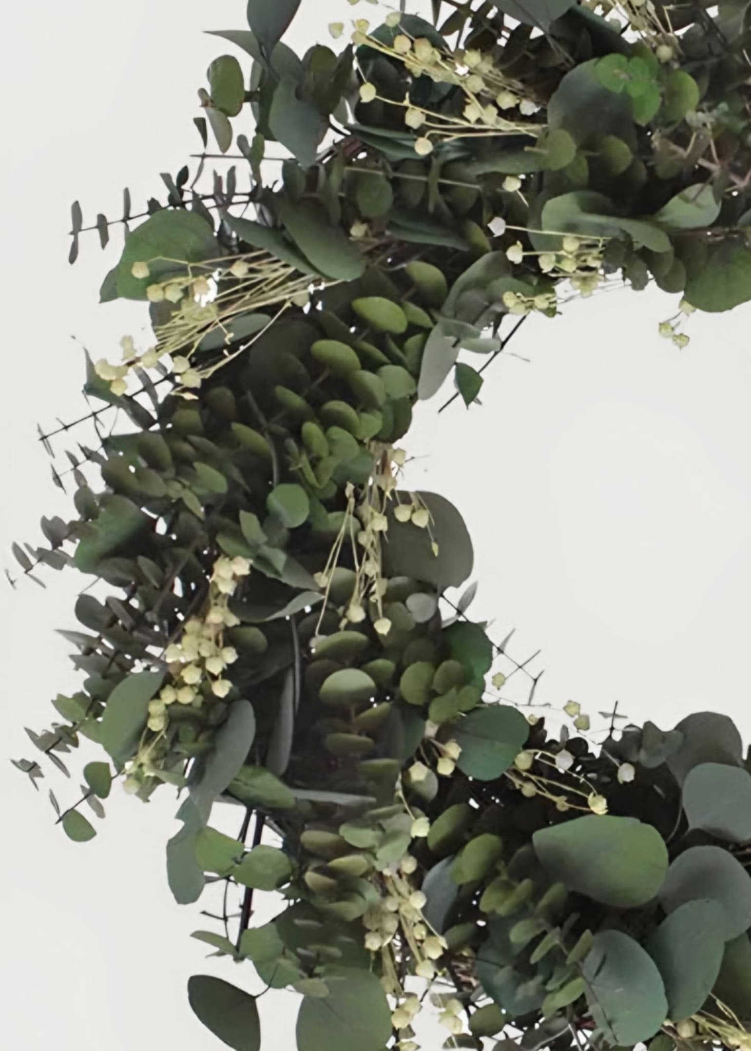 Dried and Preserved Flowers for Christmas: Elegant Seasonal Options